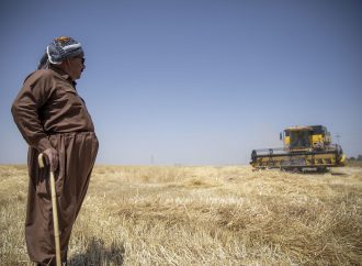 کۆتا بڕەی پارەی گەنمی جوتیارانی هەرێمی کوردستان دەگاتە هەرێم